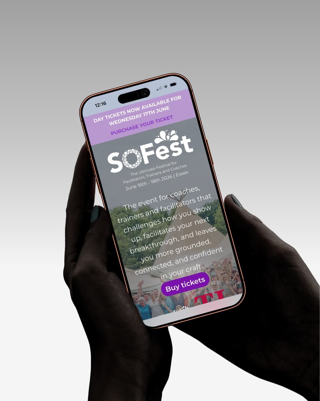 SOFest Website Case Study